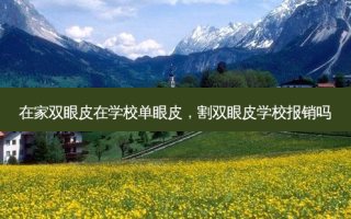 在家双眼皮在学校单眼皮，割双眼皮学校报销吗