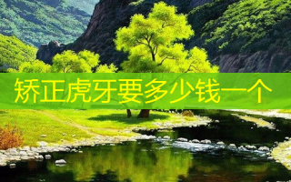 矫正虎牙要多少钱一个