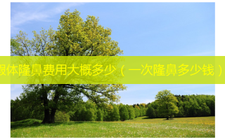 假体隆鼻费用大概多少（一次隆鼻多少钱）