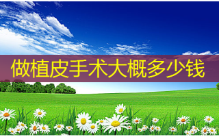 做植皮手术大概多少钱
