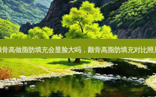 颧骨高做脂肪填充会显脸大吗，颧骨高脂肪填充对比照片