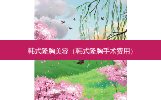 韩式隆胸美容（韩式隆胸手术费用）