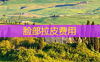 脸部拉皮费用