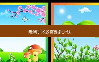 隆胸手术多需要多少钱