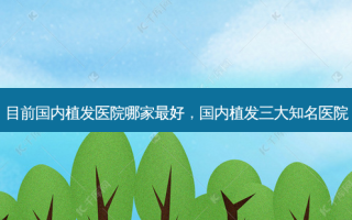 目前国内植发医院哪家 *** ，国内植发三大知名医院