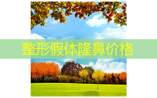 整形假体隆鼻价格