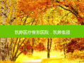 凯婷医疗整形医院，凯婷集团