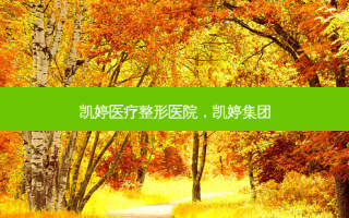 凯婷医疗整形医院，凯婷集团