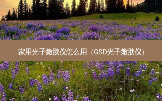 家用光子嫩肤仪怎么用（GSD光子嫩肤仪）