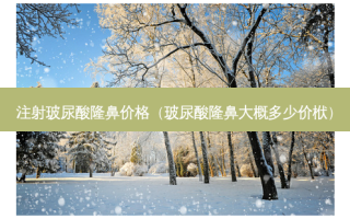 注射玻尿酸隆鼻价格（玻尿酸隆鼻大概多少价栿）