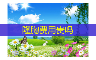 隆胸费用贵吗
