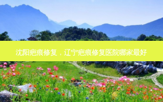 沈阳疤痕修复，辽宁疤痕修复医院哪家 *** 
