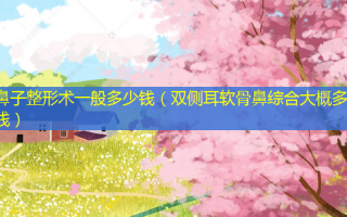 鼻子整形术一般多少钱（双侧耳软骨鼻综合大概多少钱）