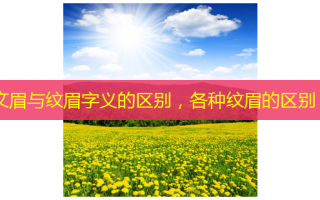 文眉与纹眉字义的区别，各种纹眉的区别