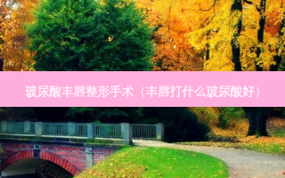 玻尿酸丰唇整形手术（丰唇打什么玻尿酸好）
