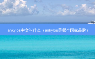 ankylos中文叫什么（ankylos是哪个国家品牌）