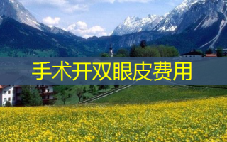手术开双眼皮费用
