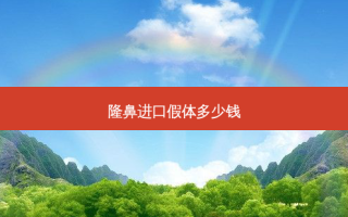 隆鼻进口假体多少钱