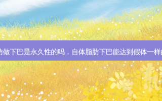 自体脂肪做下巴是永久性的吗，自体脂肪下巴能达到假体一样的效果吗