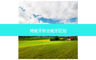 烤瓷牙和全瓷牙区别