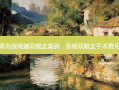 青岛张维娜双眼皮案例，张维双眼皮手术费用
