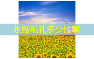 收缩毛孔多少钱啊