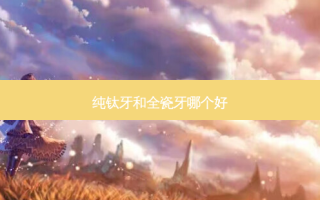 纯钛牙和全瓷牙哪个好