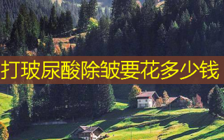 打玻尿酸除皱要花多少钱