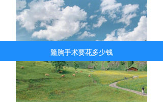 隆胸手术要花多少钱