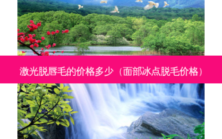 激光脱唇毛的价格多少（面部冰点脱毛价格）