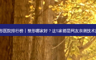 大同整形医院排行榜丨整形哪家好？这5家都是网友亲测技术厉害的！