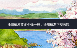 徐州植发要多少钱一般，徐州植发正规医院