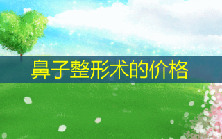 鼻子整形术的价格
