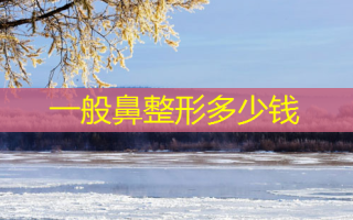 一般鼻整形多少钱