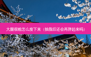 大腿很粗怎么瘦下来（抽脂后还会再胖起来吗）