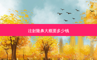注射隆鼻大概要多少钱