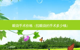 眼袋手术价格（拉眼袋的手术多少钱）