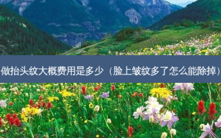 做抬头纹大概费用是多少（脸上皱纹多了怎么能除掉）