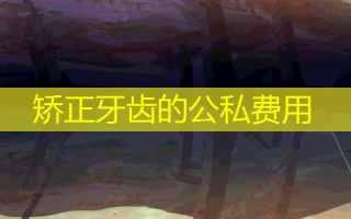矫正牙齿的公私费用