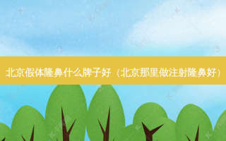 北京假体隆鼻什么牌子好（北京那里做注射隆鼻好）