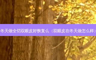 冬天做全切双眼皮好恢复么（双眼皮在冬天做怎么样）