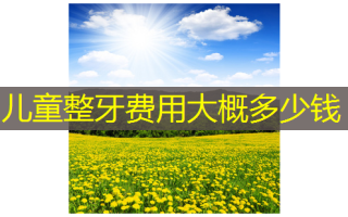 儿童整牙费用大概多少钱