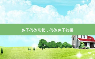 鼻子假体形状，假体鼻子效果