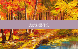 支抗钉是什么