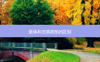 嵌体和充填洞形的区别