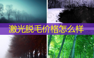 激光脱毛价格怎么样