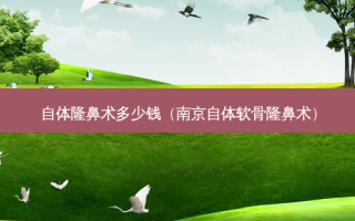自体隆鼻术多少钱（南京自体软骨隆鼻术）