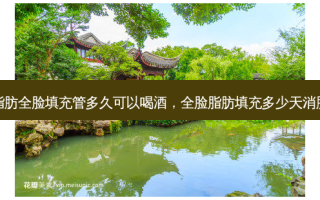 脂肪全脸填充管多久可以喝酒，全脸脂肪填充多少天消肿