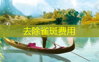 去除雀斑费用