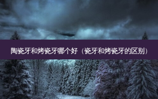 陶瓷牙和烤瓷牙哪个好（瓷牙和烤瓷牙的区别）
